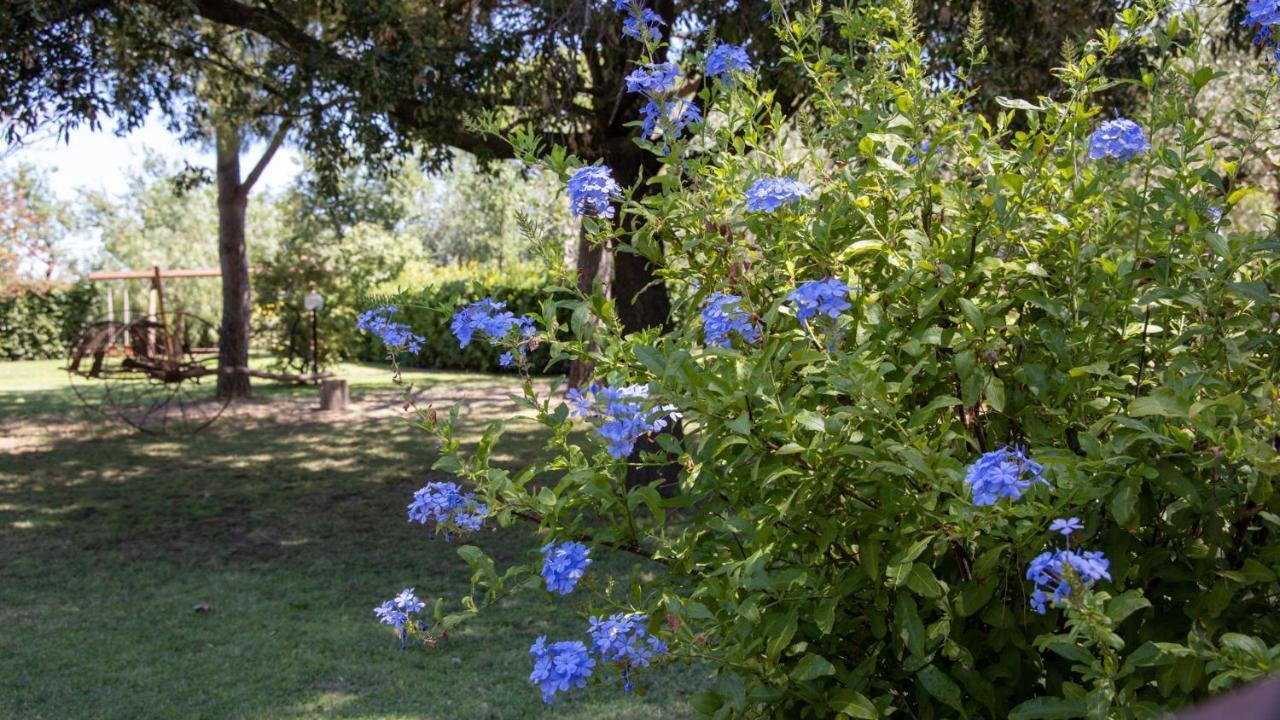 Agriturismo Salcino Grosseto Exterior photo