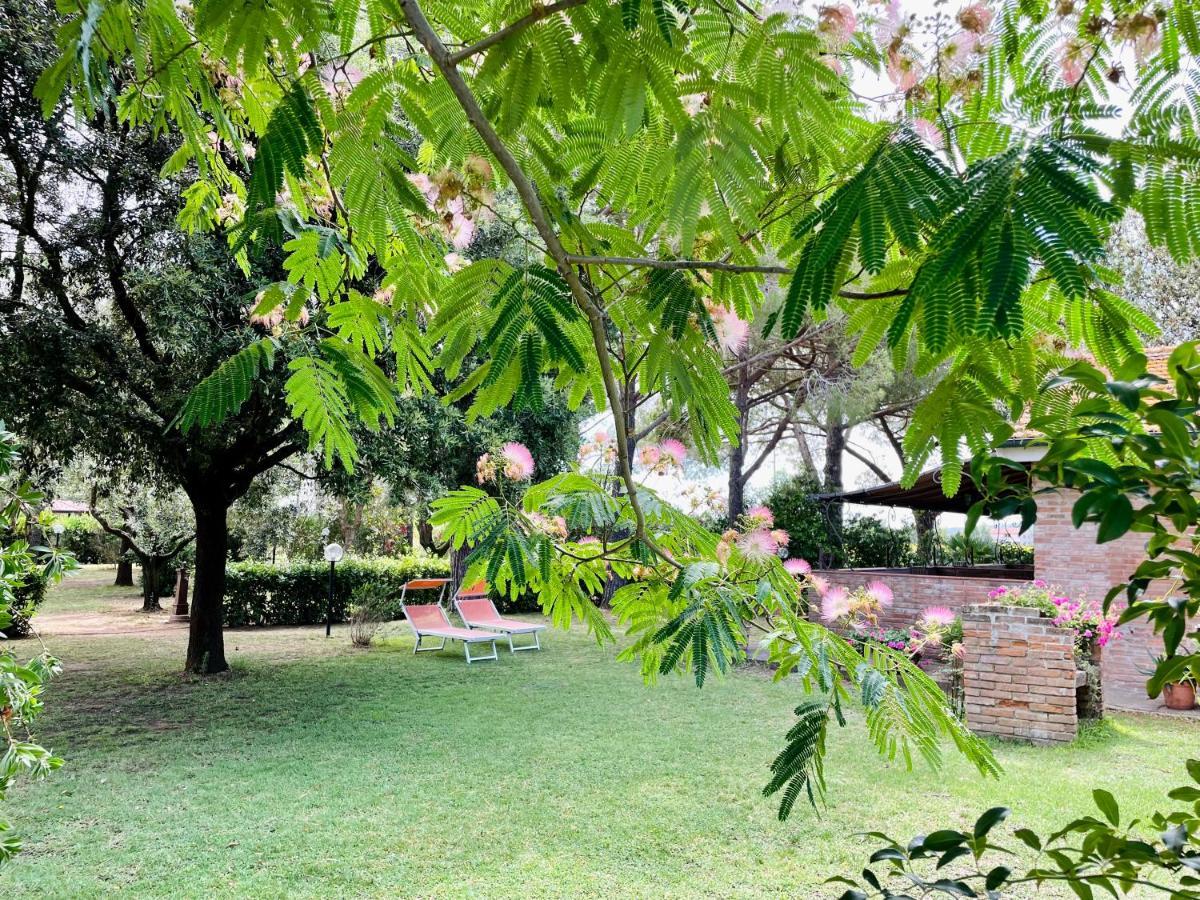 Agriturismo Salcino Grosseto Exterior photo