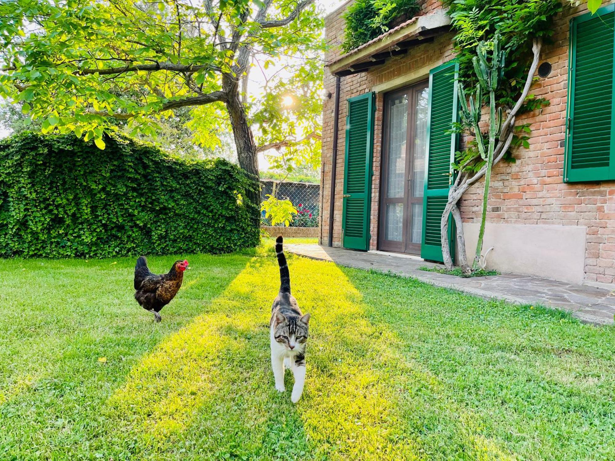 Agriturismo Salcino Grosseto Exterior photo