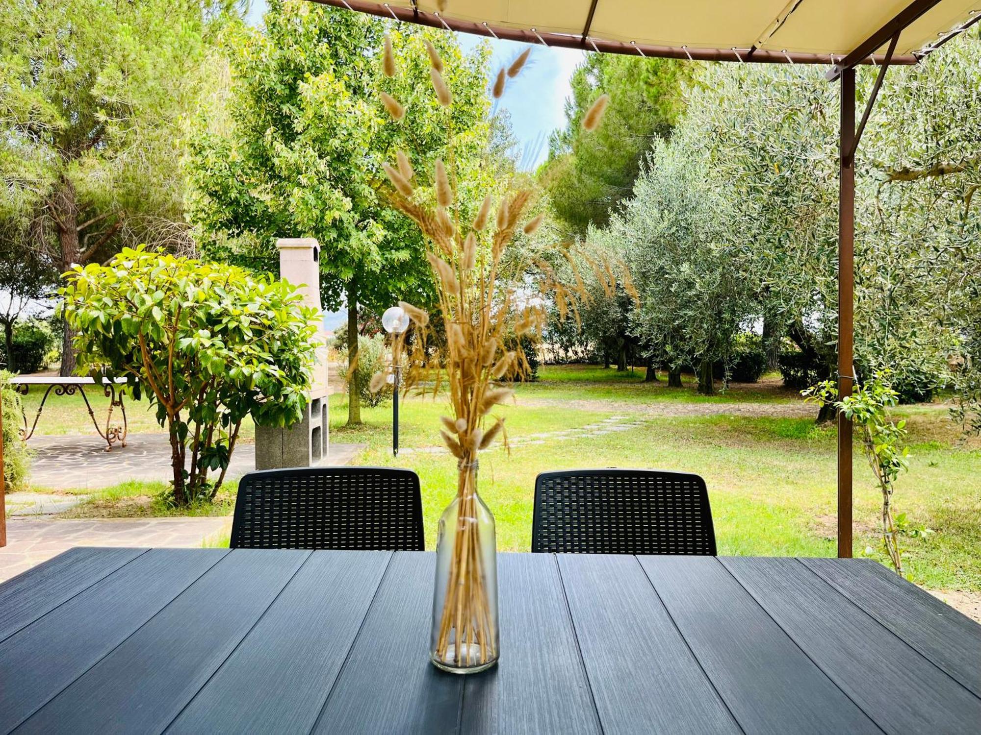 Agriturismo Salcino Grosseto Exterior photo